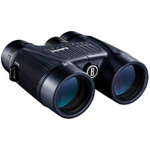 Bushnell Roof Prism Binocular