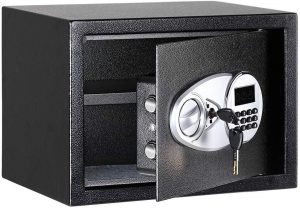 AmazonBasics Book Safe